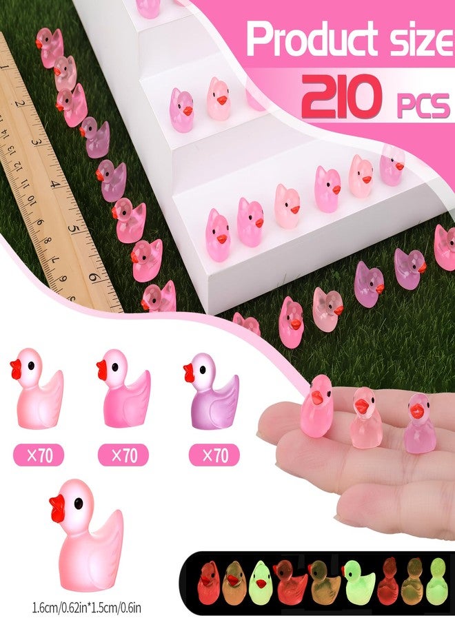 GGSTDDUP 210pcs Valentines Luminous Mini Resin Ducks Pink Tiny Miniature Ducks Figurines Small Little Resin Duck Bulk for Valentine's Day Gift Dollhouse Mini Garden Landscape Decoration - Image 2